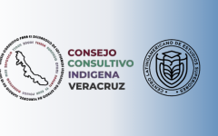 claes y consejo consultivo