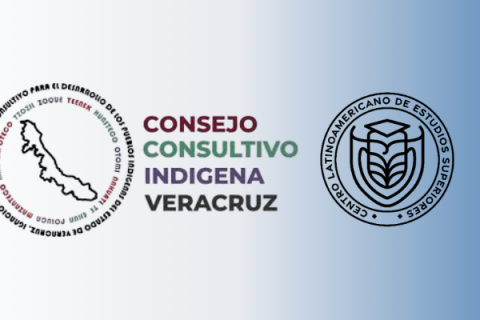 claes y consejo consultivo